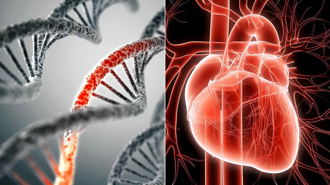 انواع بیماری های ژنتیکی قلبی