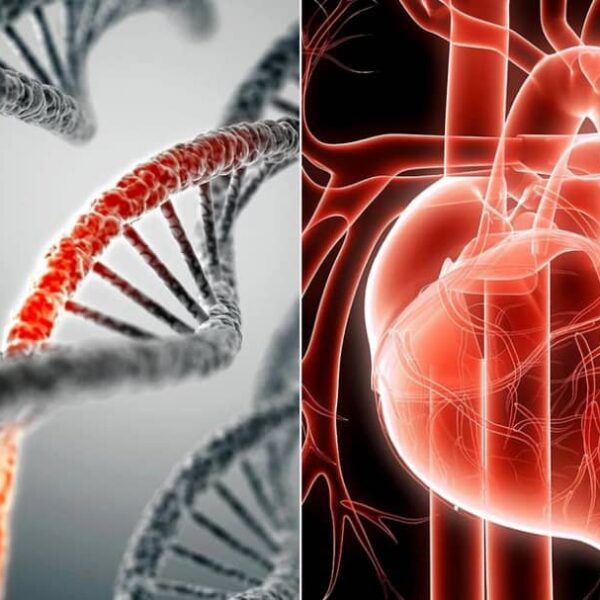 انواع بیماری های ژنتیکی قلبی